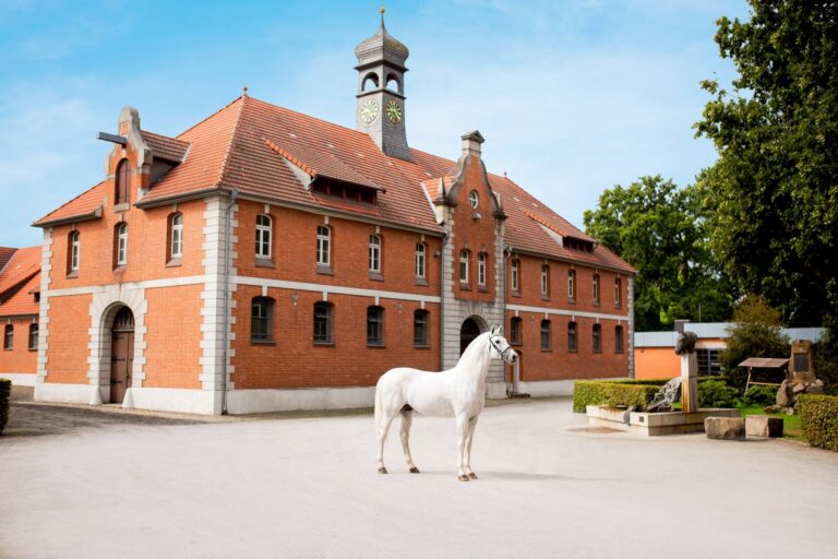 Niedersächsisches Landgestüt Celle